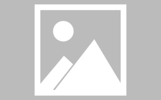文山网页设计实训心得（网页设计实训心得感悟）